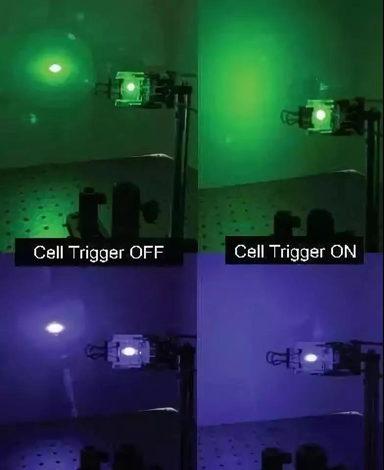 1626487013394674.png 圖片4.png