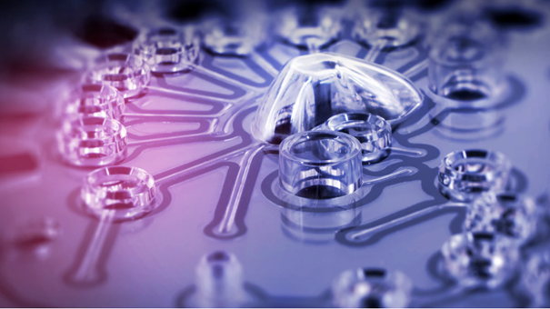 1712121058.png 微流道2.png